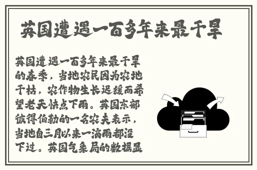 中文字幕无线观看链接